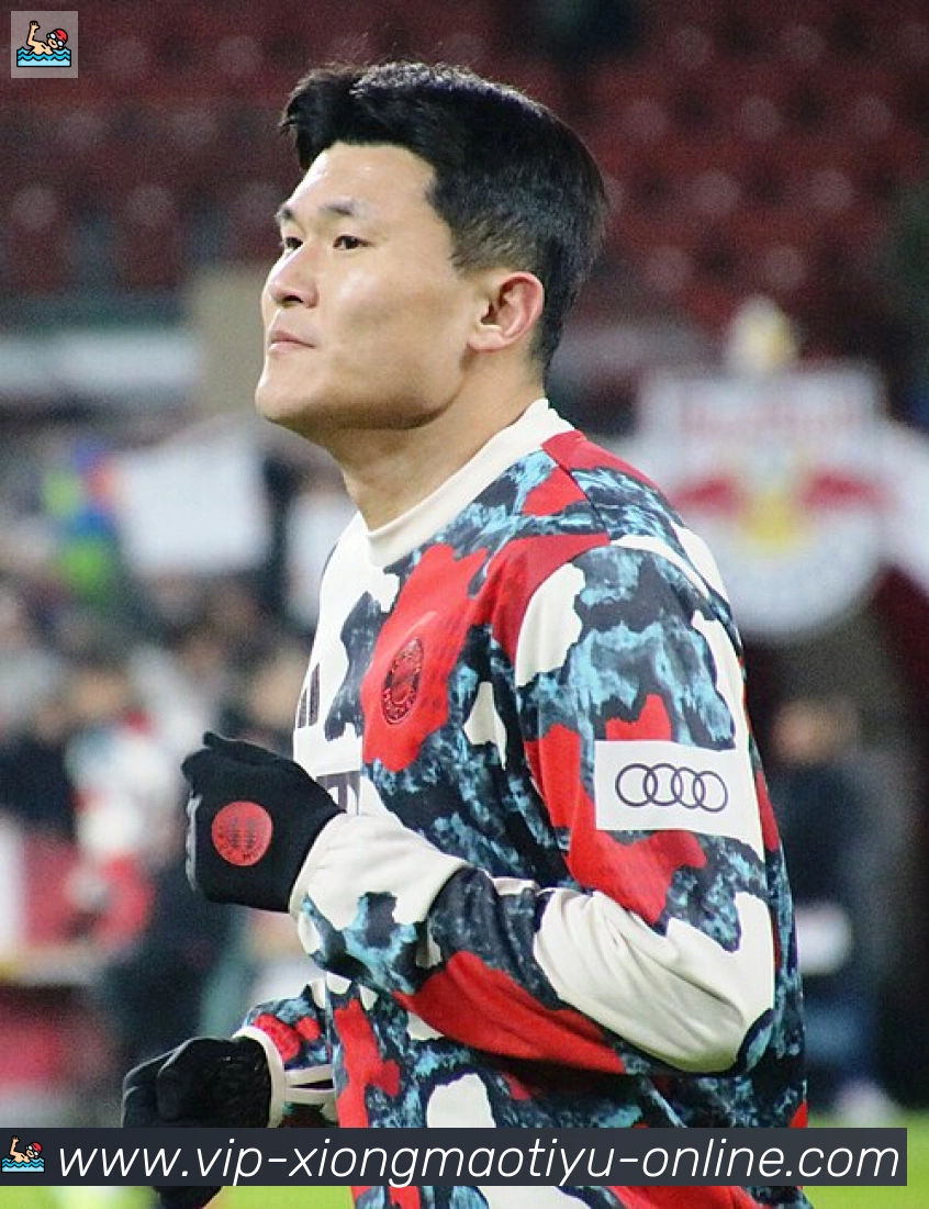 维尼修斯